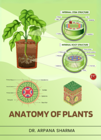 ANATOMY OF PLANTS