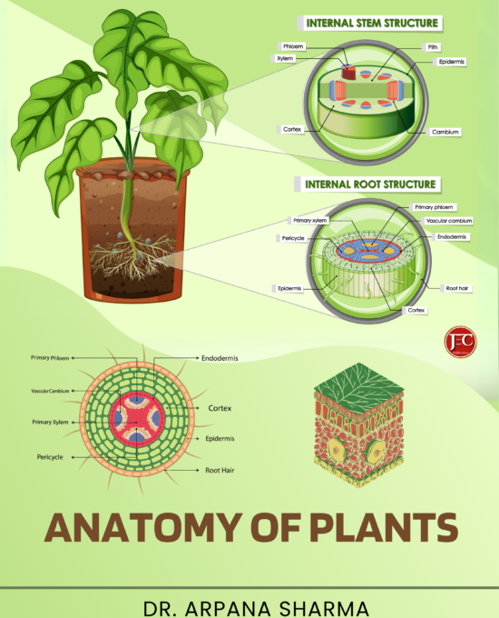 ANATOMY OF PLANTS