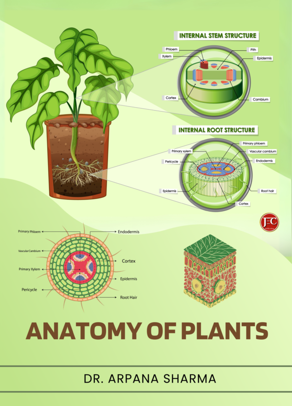 ANATOMY OF PLANTS